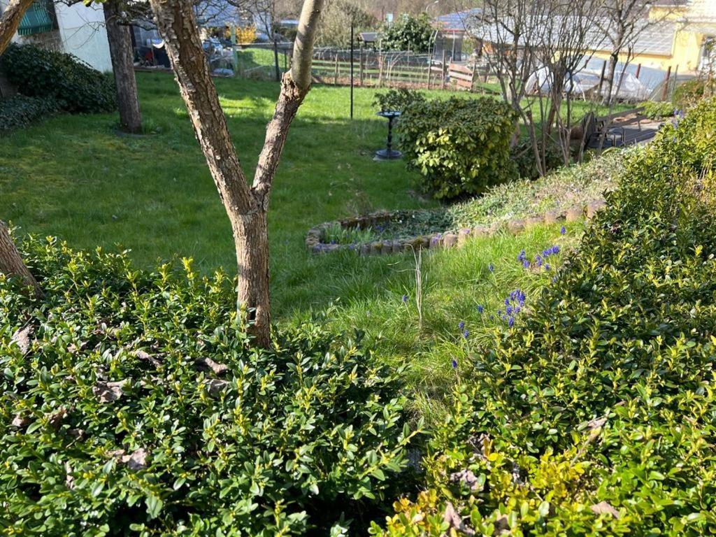 Ferien- Und Monteurwohnung Zum Waldblick Wald-Michelbach Exterior foto