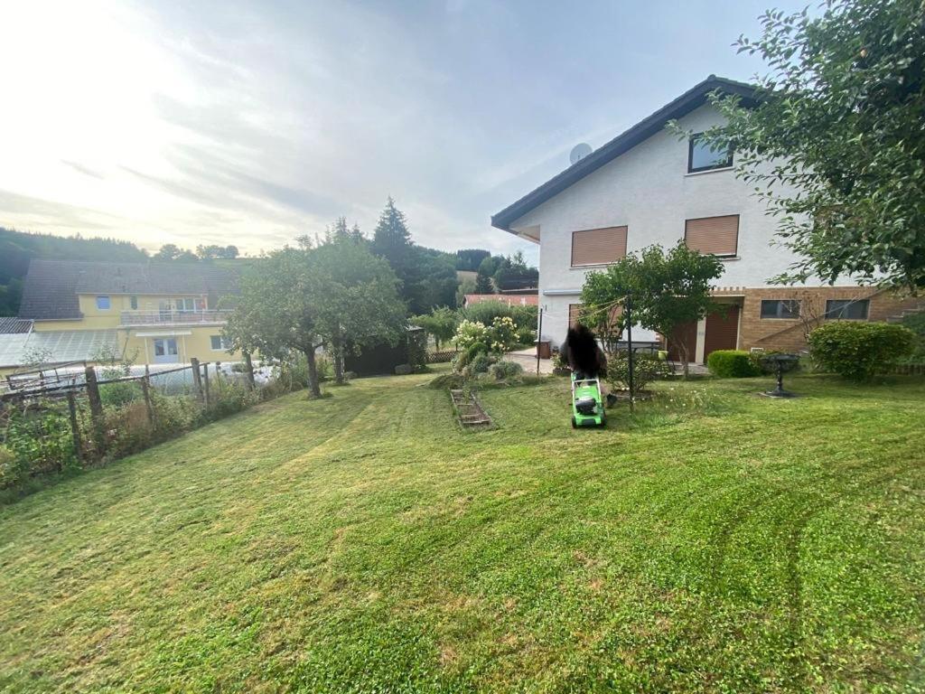 Ferien- Und Monteurwohnung Zum Waldblick Wald-Michelbach Exterior foto